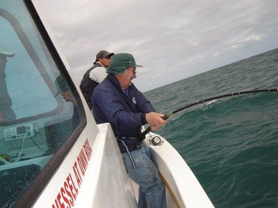 Fighting a big Black Ray