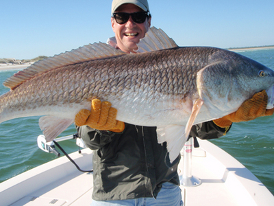 nice bullredfish