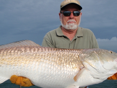 bullredfish