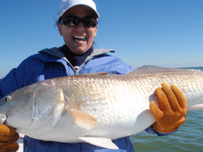 nice bullredfish