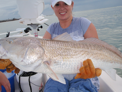 nice bullredfish