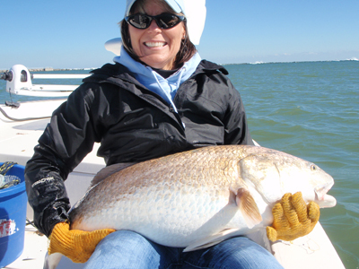 nice bullredfish