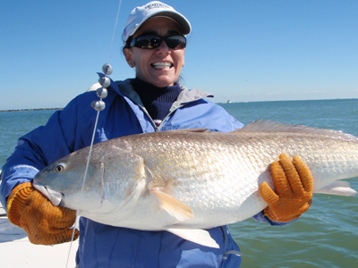 bull redfish