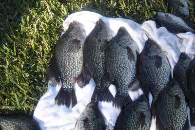 Keep changing up and they will bite