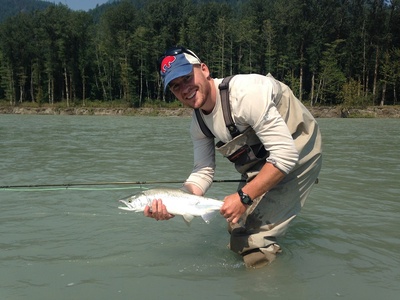 Lots of Pink salmon in Vancouver BC