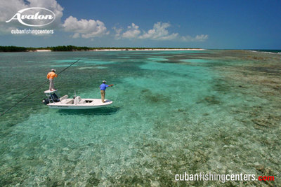 Fly Fishing in the Caribbean Paradise