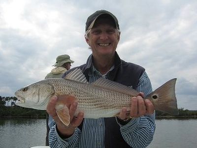 Mosquito Lagoon Redfish