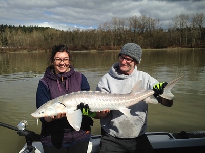 Good times Sturgeon fishing early April