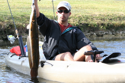 A nice Snakehaed from the Ft. Lauderdale area