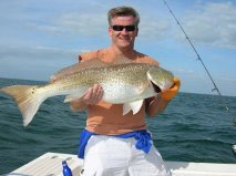 Bull Redfish