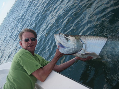 tarpon