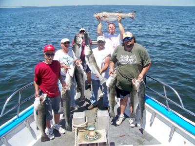Group shot/Stripers