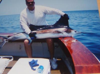 Sailfish released aboard the hattatude