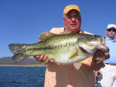 Lake Baccarac Bass