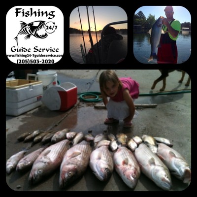 Smith lake striped bass