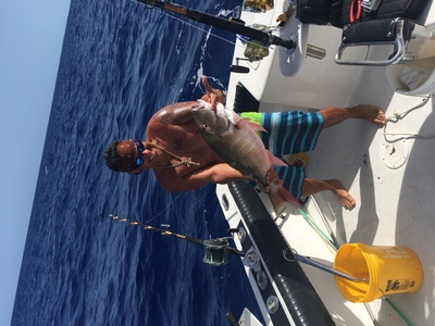 Mutton snapper