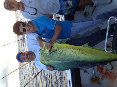 Nice Mahimahi caught off miami beach aboard the Sea cross!
