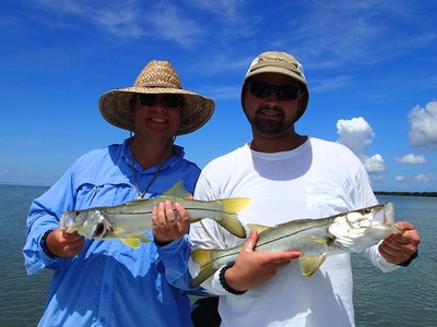 Nice Snook