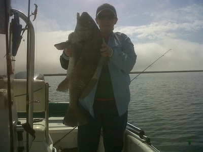 Red's Big Black Drum!!!