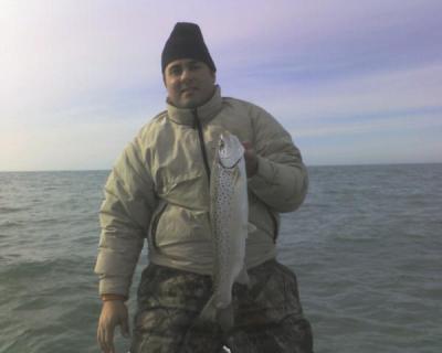 Lake Ontario spring Brown trout