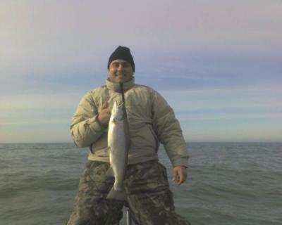 Lake Ontario spring Brown trout