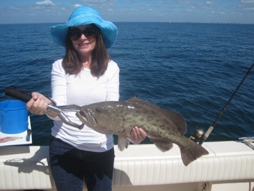 24-inch gag released--out of season