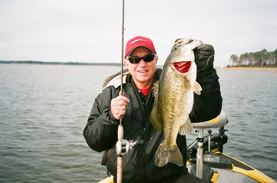 A prime example of Rayburn's winter bassin....this lunker hit a Berkley Rattl'r (lipless crankbait).