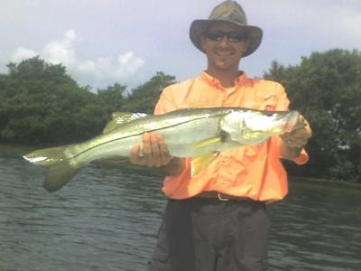 Big Snook