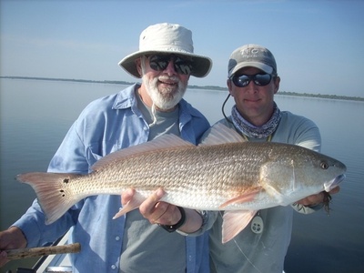 Mosquito Lagoon Redfish
