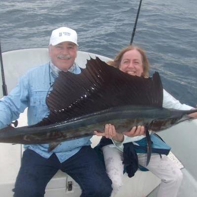 A nice sailfish, before tarpon fishing.