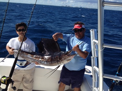 Sailfish prior to release