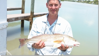 Jeff Kronstain With A Beautiful Redfish!