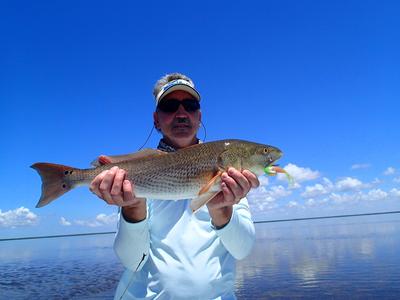 sight fishing redfish