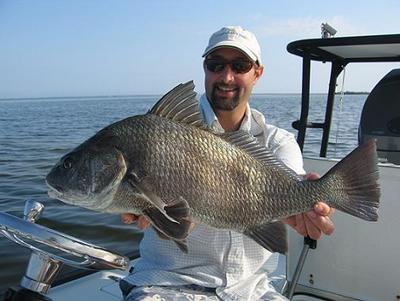 Contact Jose at www.chileonthefly.com