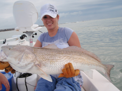 bull redfish