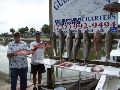 Snapper, AJ,s Grouper