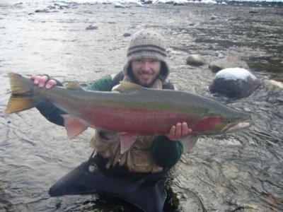 The photo of the week is a beautiful, wild male Steelhead landed by Kevin Doddridge on the Kalum River this winter.  It is one big fish that could be estimated to weigh between 15 and 20-pounds.  Photo by Laine Cosens