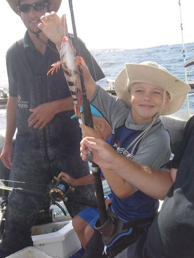 A lovely Dassie (Wildeperd)