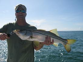 12 ppund Jupiter Snook