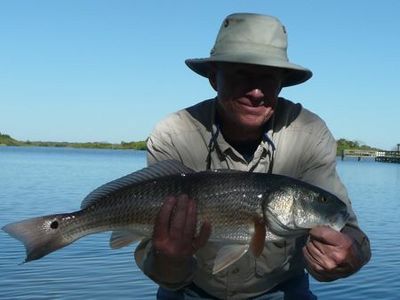 Mosquito Lagoon Redfish