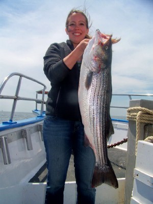 Lexis 22 pounder