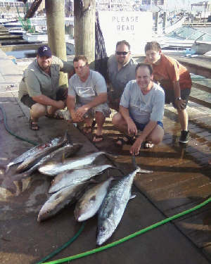 Lings,King Fish,Amber jack