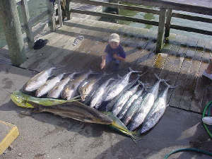 The little placer from hall of fame Tournament