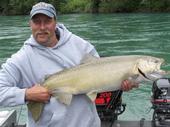 A great chinook salmon!!!