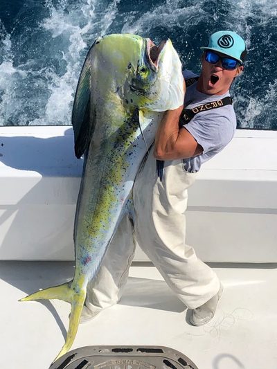 Mahi