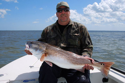 Bill's first redfish in Mosquito Lagoon