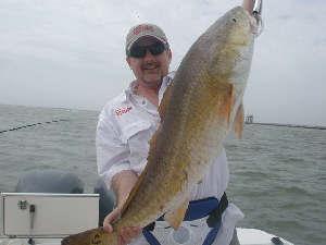 Big Redfish