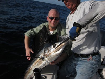 Matt's Sailfish