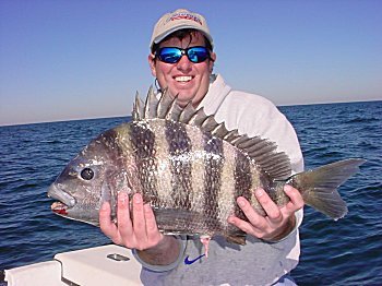 Georgia Fishing - Sheepshead on the Reefs