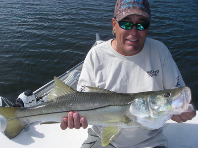 big snook